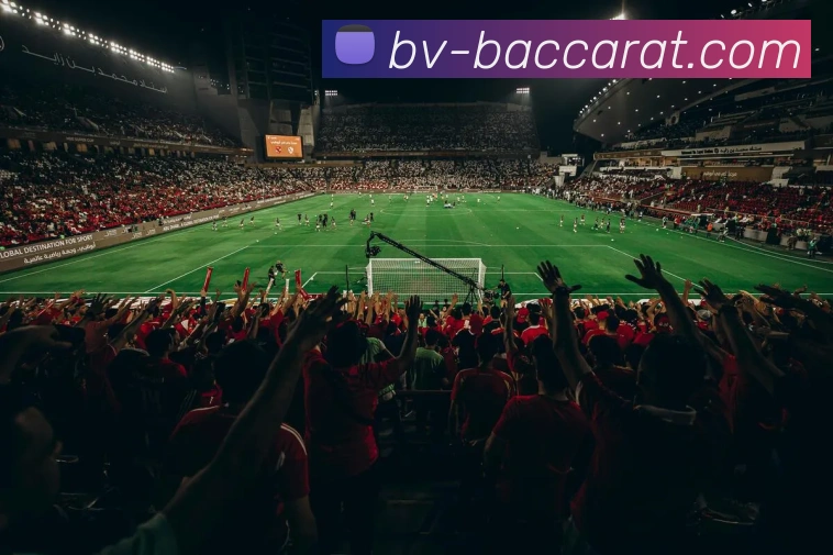 百家乐官网平台生态图