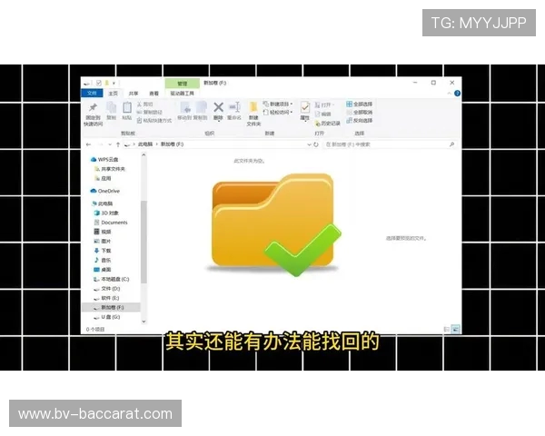 如何恢复被误删的共享游戏数据及相关操作步骤详解